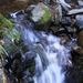 大川の源流
