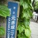 つたの葉<br><FONT color="#999999" size="2">丸の内線を歩く（赤坂見附〜四ツ谷〜四谷三丁目）</FONT>