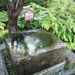 世嬉の一・酒造り用の湧き水