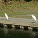 大川・館山取水場にて