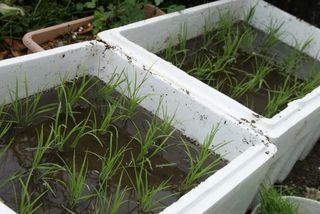 20100525 004