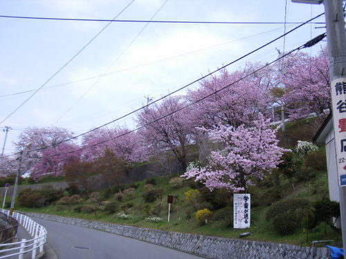 河原田みんなの森