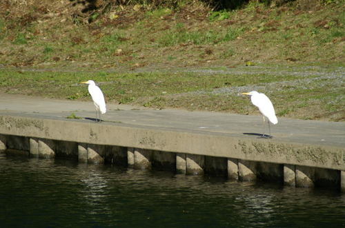 大川・館山取水場にて