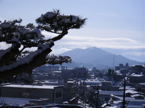 早春の大島