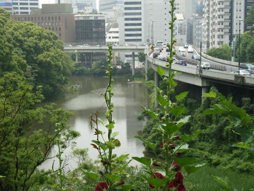弁慶濠<br><FONT color="#999999" size="2">丸の内線を歩く（赤坂見附〜四ツ谷〜四谷三丁目）</FONT>