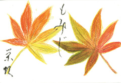 Momiji2007