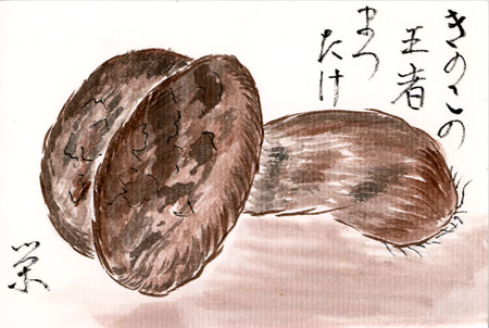 matsutake