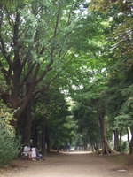 Shinjuku_gyoen_1