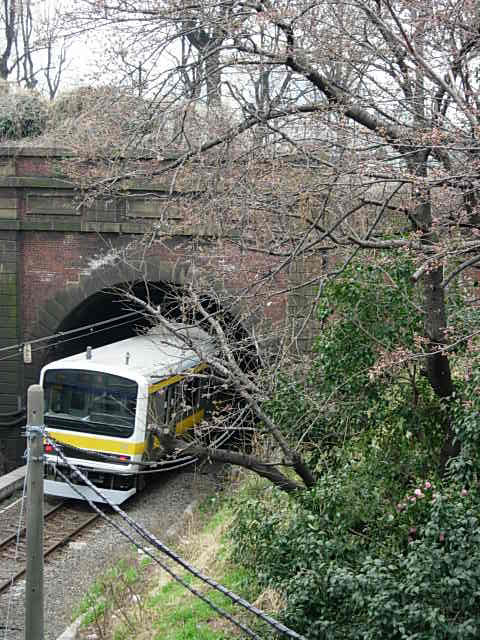 yotsuya